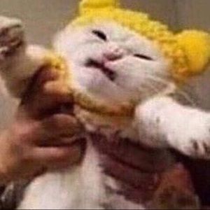 Meet your Posher, Hadassah